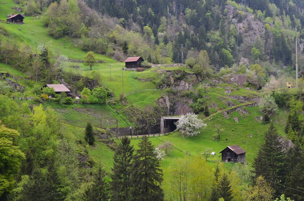 Landschaft mit Gottharddbahn by rdl_1