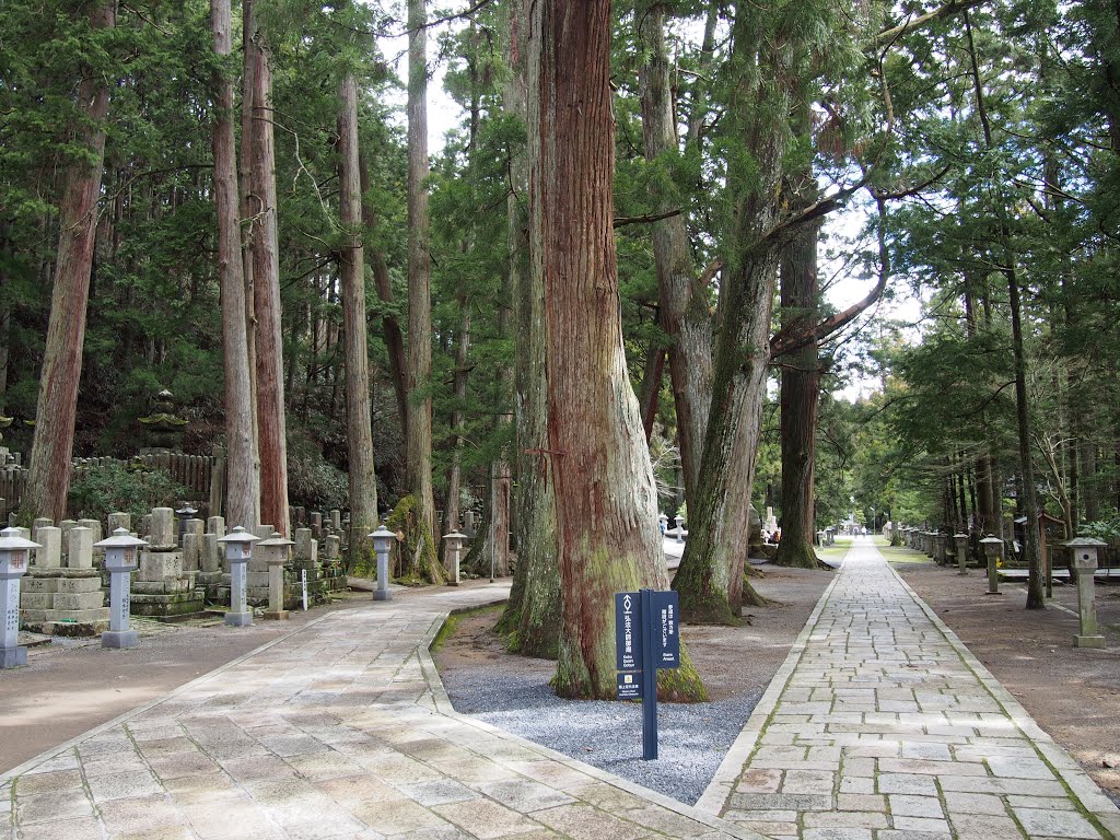 Koyasan, Koya, Ito District, Wakayama Prefecture 648-0211, Japan by 小西天