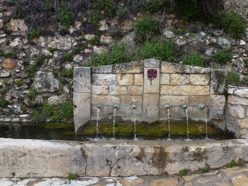 TORIJA, GUADALAJARA, SPAIN. by carlos cuerda damas