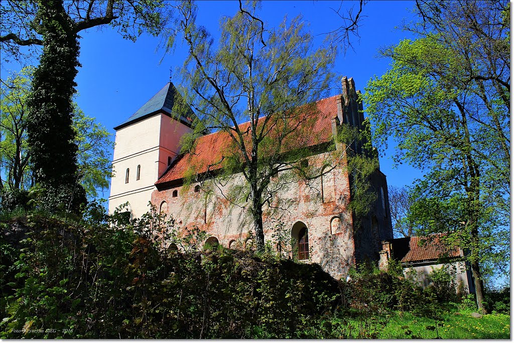 Zamek gotycki w Bezławkach // w murach tego zamku miał być ukryty święty Grall.[ks] by Krystyna Sieg