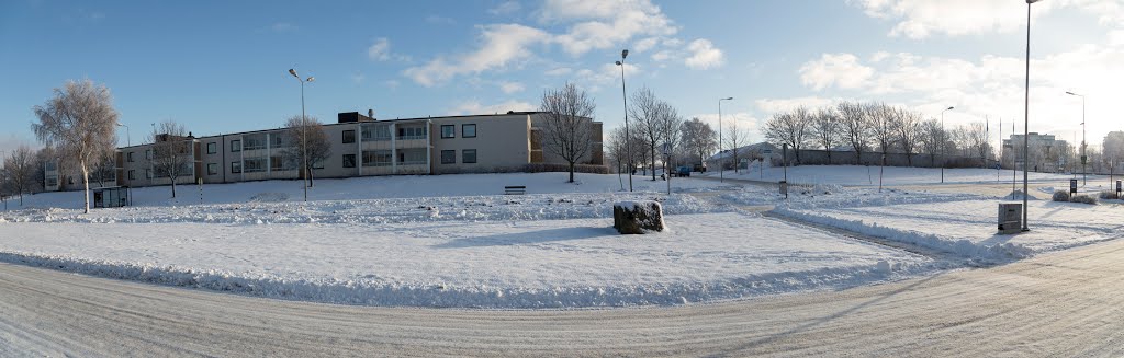 Mariedalsvägen, Varberg, Sverige by Jorfro