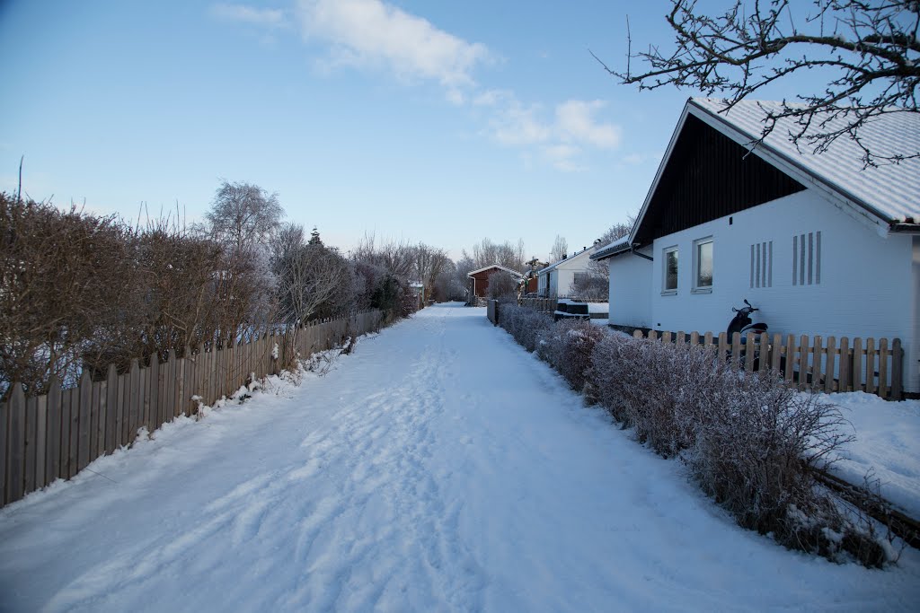 Mariedalsvägen, Varberg, Sverige by Jorfro