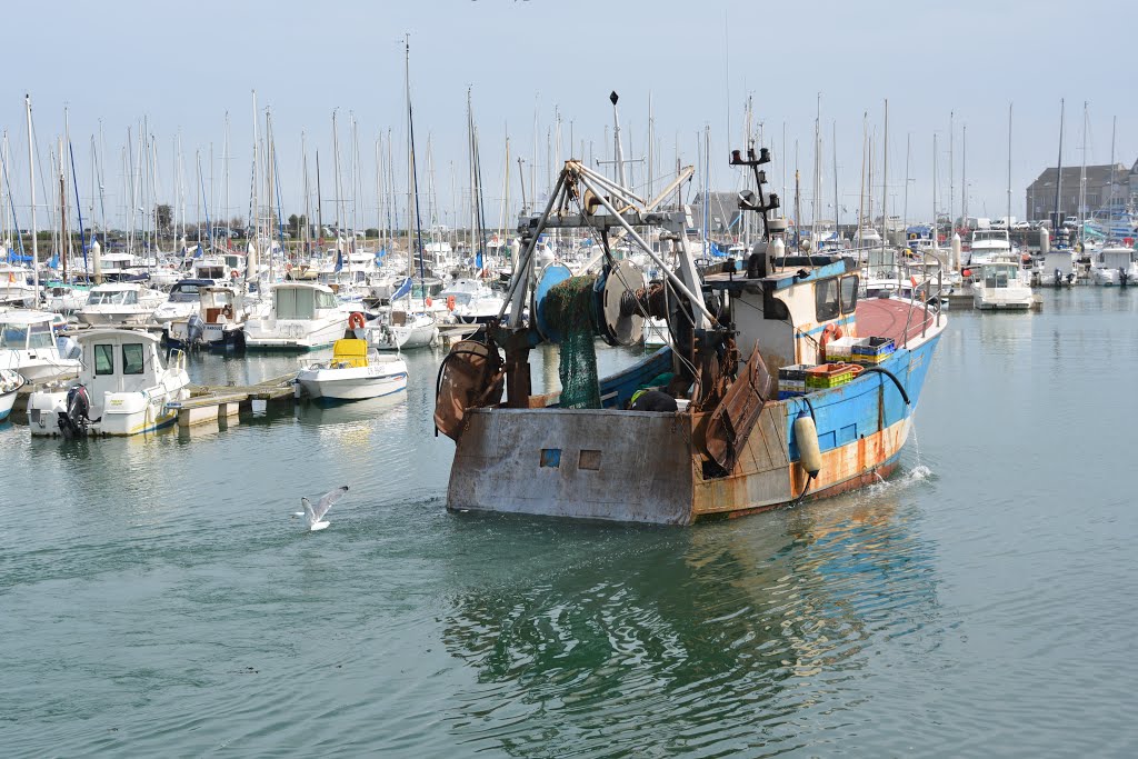 Saint-Vaast-la-Hougue, France by Liam O'Carroll