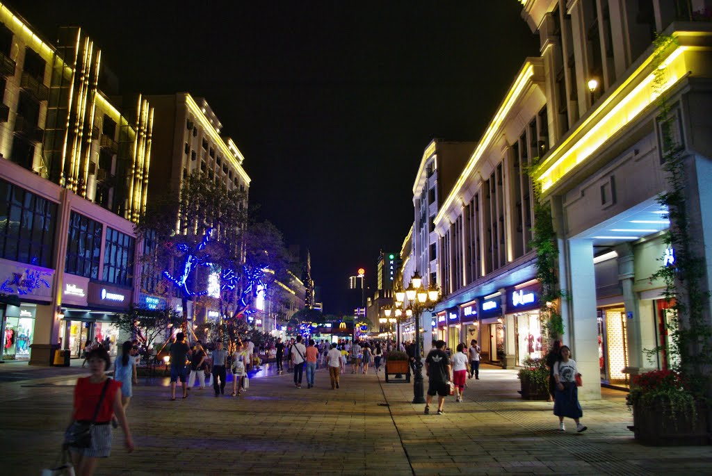 The Shopping Road of Changde by Manfred Schneider