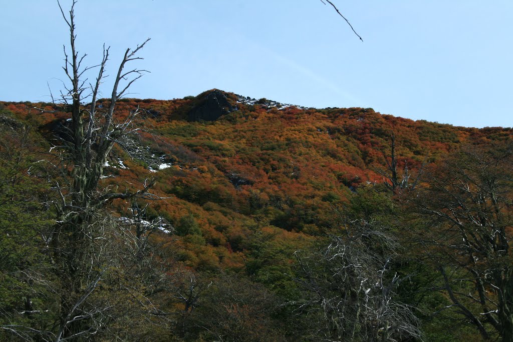 Pinto, Región del Bío Bío, Chile by Juan Pablo Tolosa