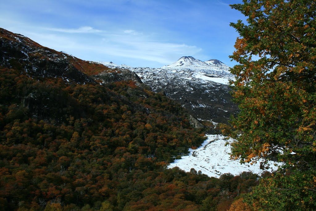 Pinto, Región del Bío Bío, Chile by Juan Pablo Tolosa