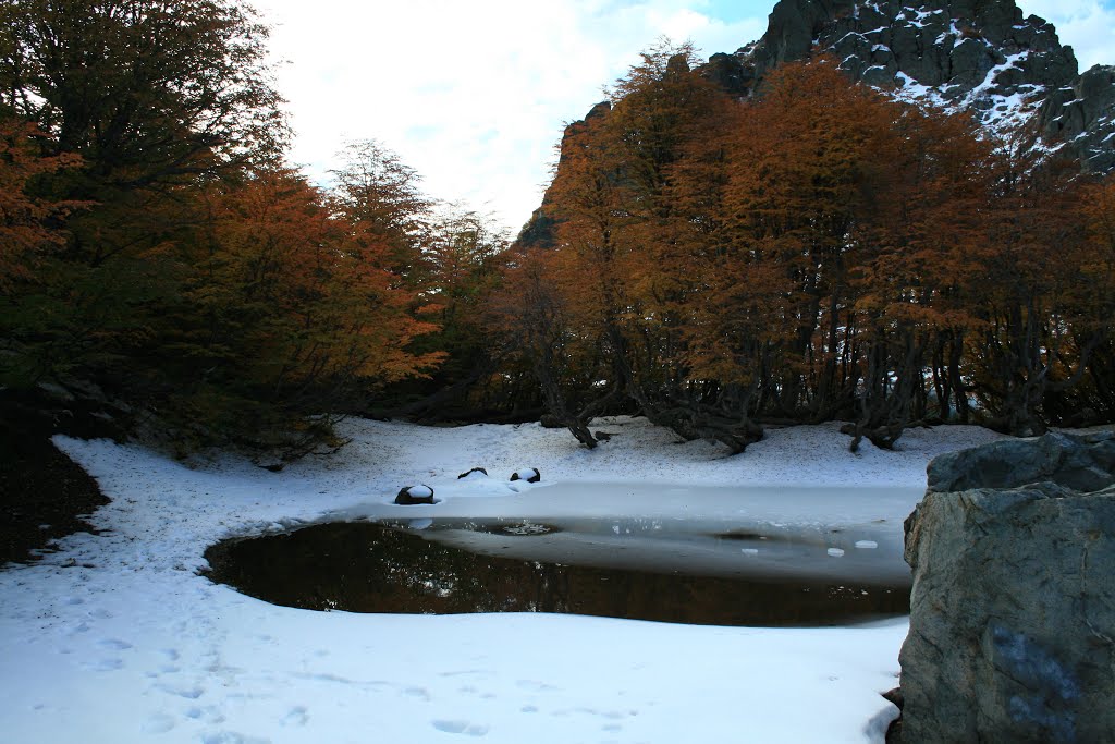 Pinto, Región del Bío Bío, Chile by Juan Pablo Tolosa