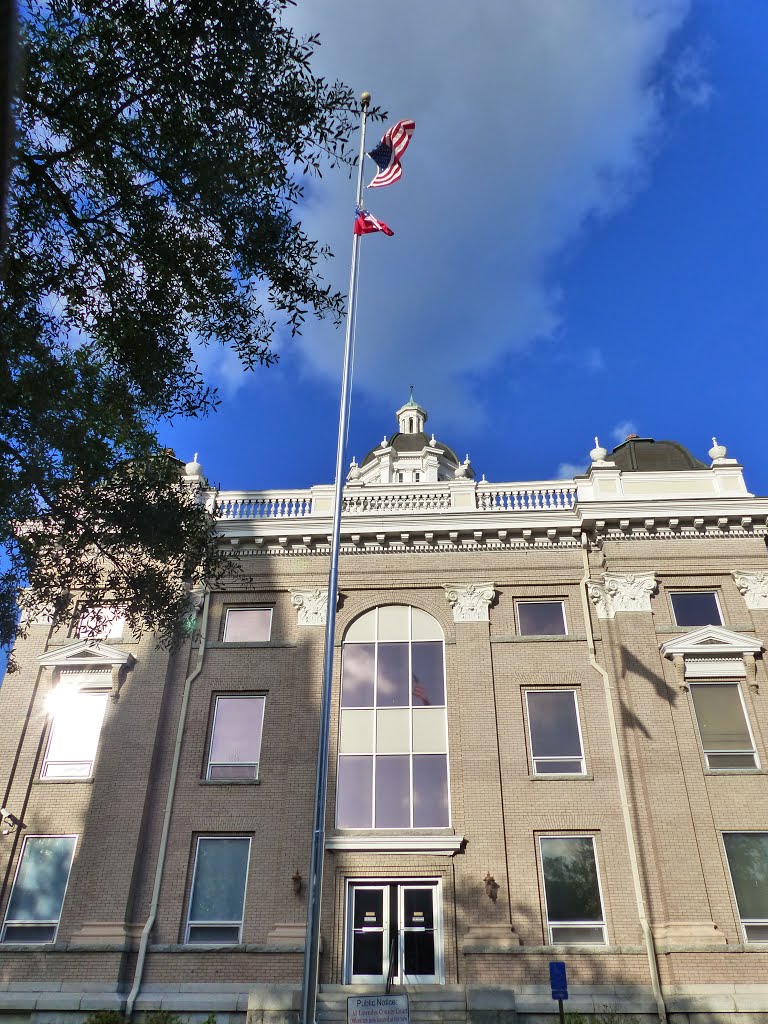 Lowndes Co. Courthouse w/ USA Flag by Michael Hogue