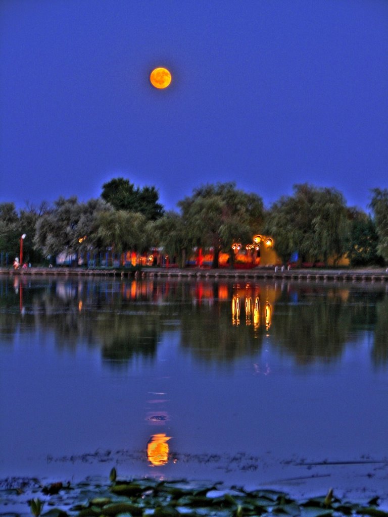 Lacul Neptun I., văzut din Rest. Insula by Dénes László