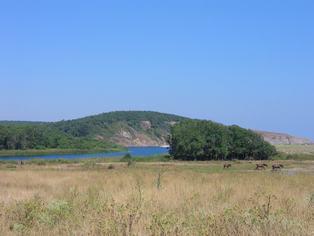 Veleka River by George Marinescu