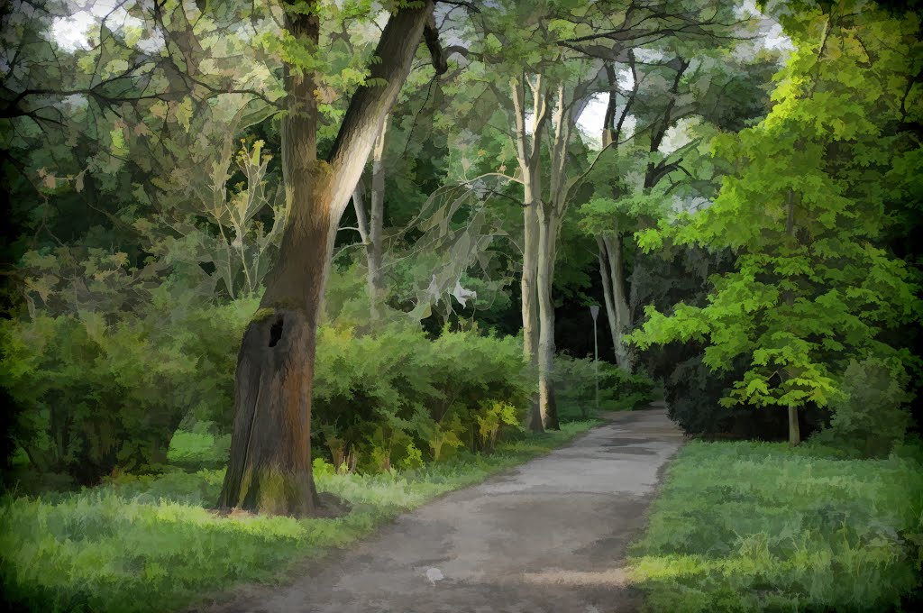 Park im. Stefana Żeromskiego by Marcin Mozolewski