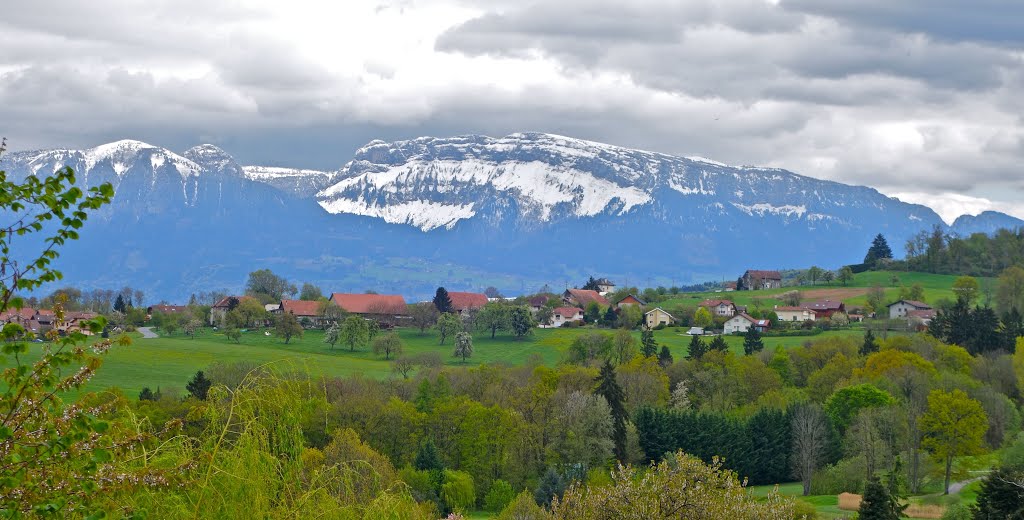 La Montagne de Sous-Dîne vu d'Esery 25.04.2016 by Jean-Luc.