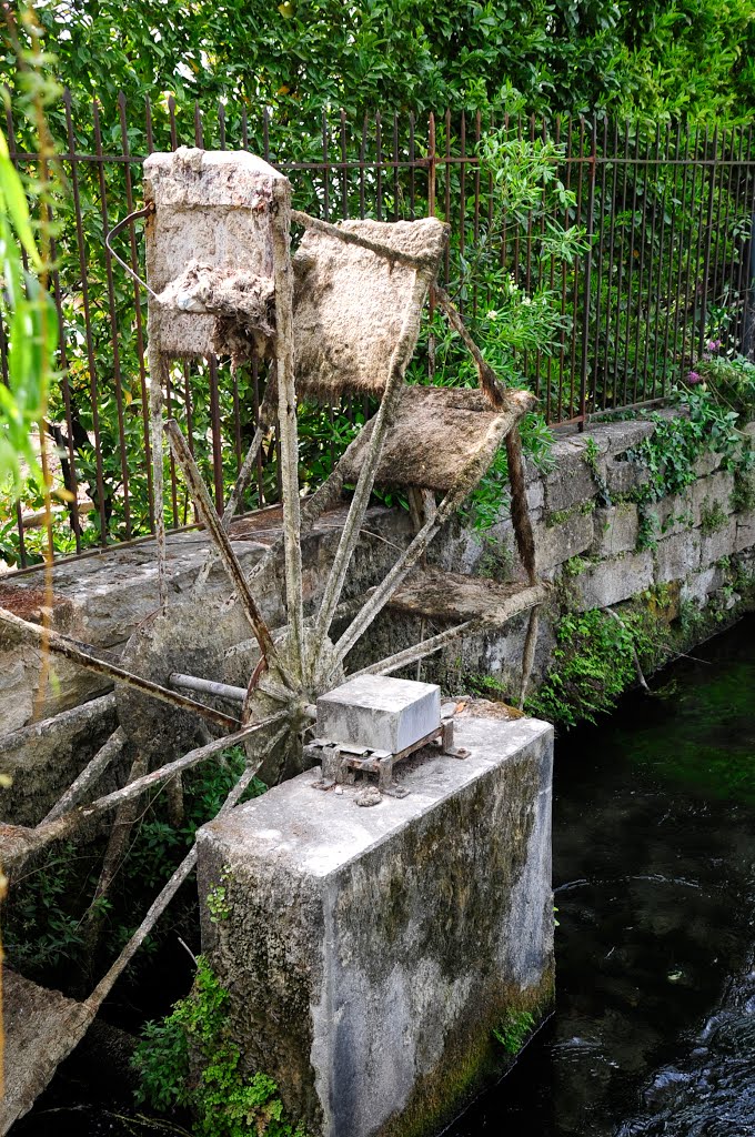 L'Isle-sur-la-Sorgue by Dominique Salé