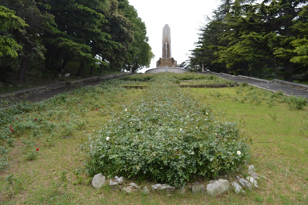 Salita al parco della Rimembranza by Geo S