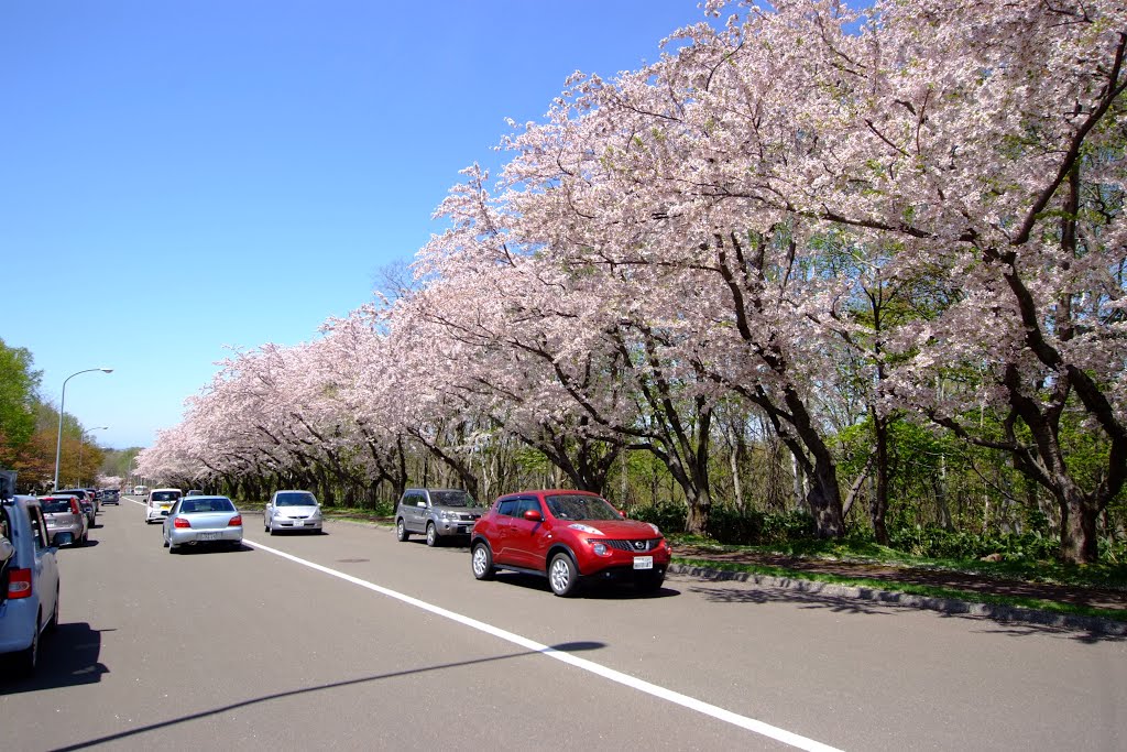 戸田記念墓地公園(Toda commemoration graveyard park) by t-konno