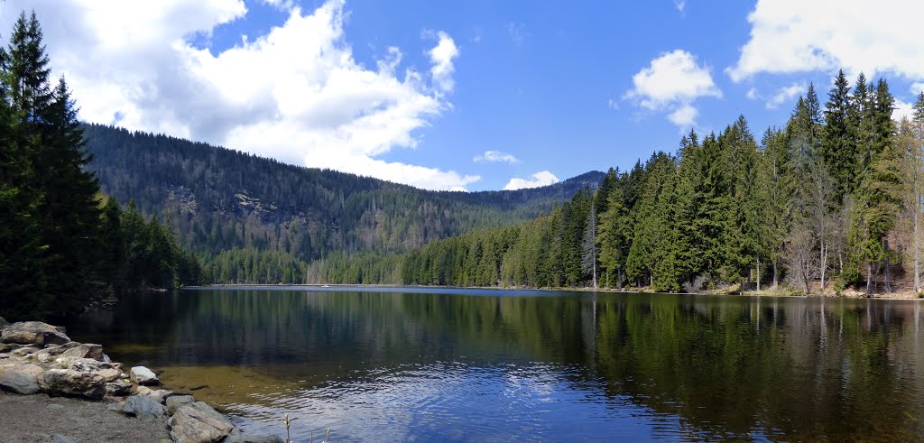 Großer Arbersee, Panorama 2016 by Karl Eidenschink