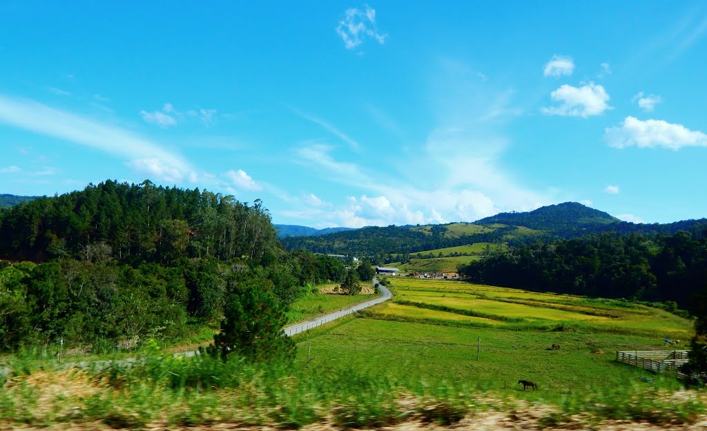 PAISAGEM DE POMBINHAS-POUSO REDONDO-SC by Sidnei Recco