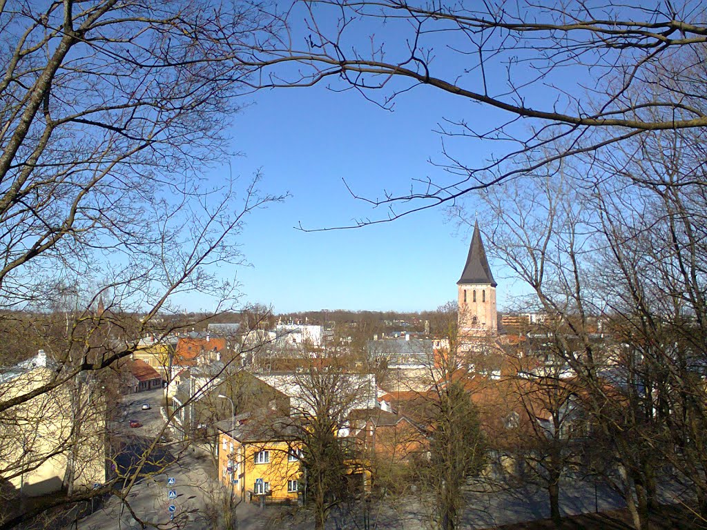 Tartu, Estonia by Hermine Saul