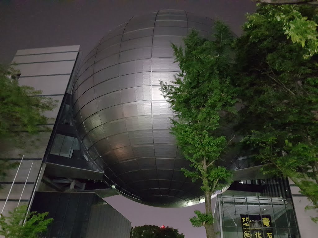 Nagoya Museum by Roy Pitchford