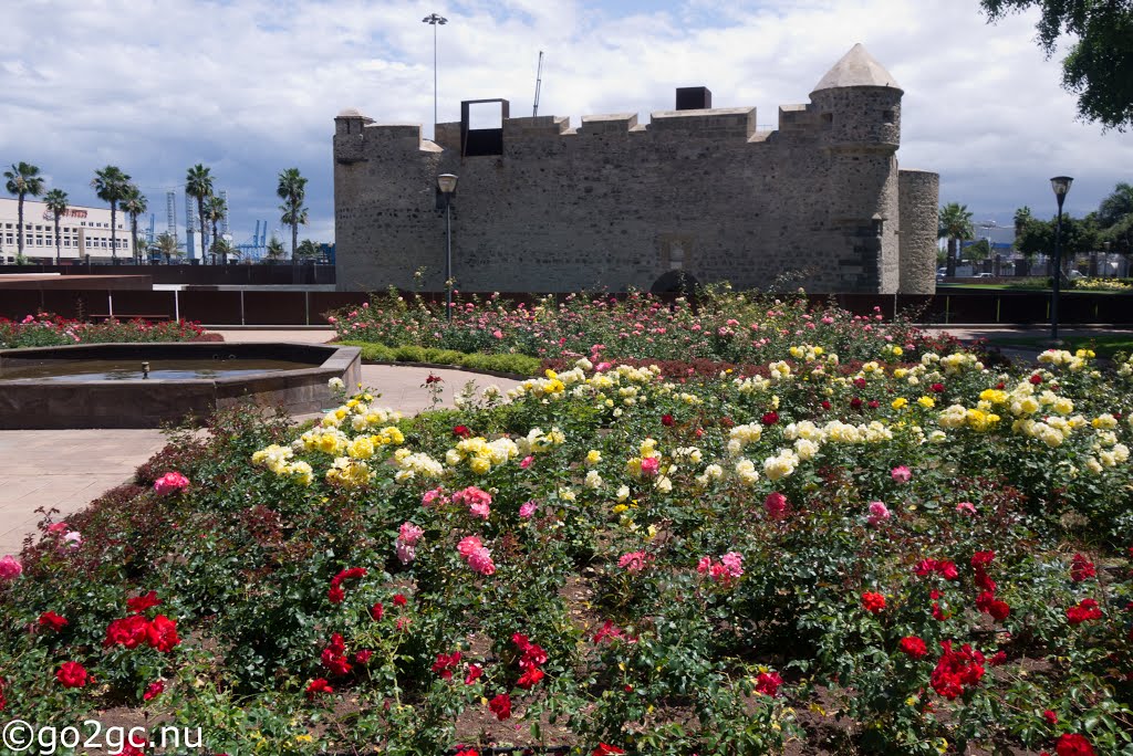 Las Palmas de Gran Canaria, Las Palmas, Spain by Benny Erikssson