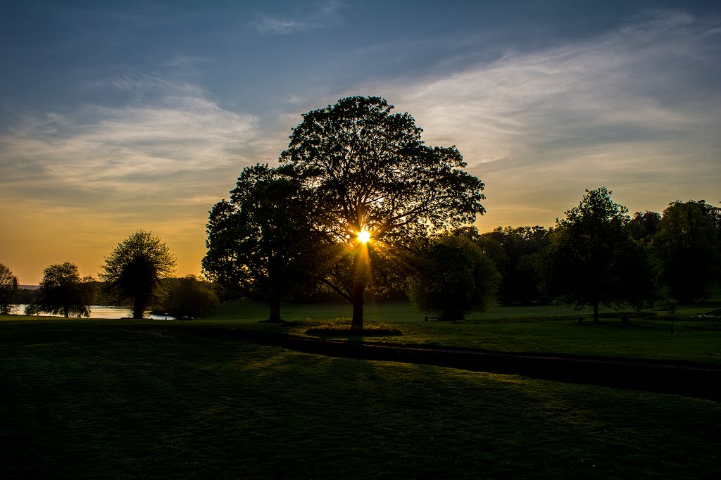 Silhouette Sunset Beauty by Demi-leigh Freeman