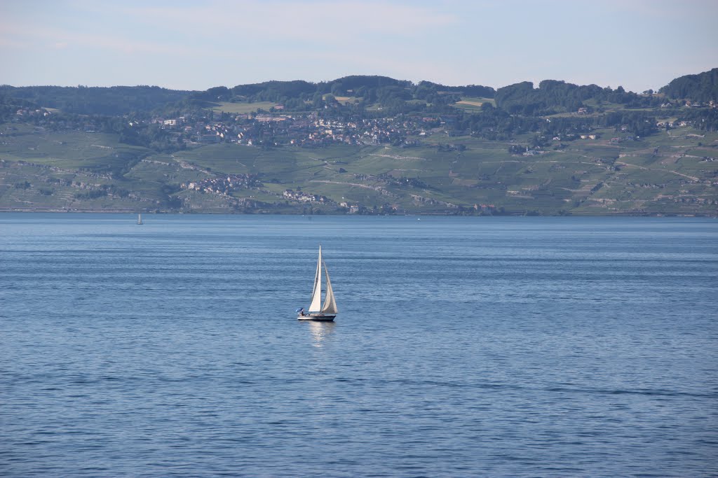 Genfersee by Rudolf Rupp