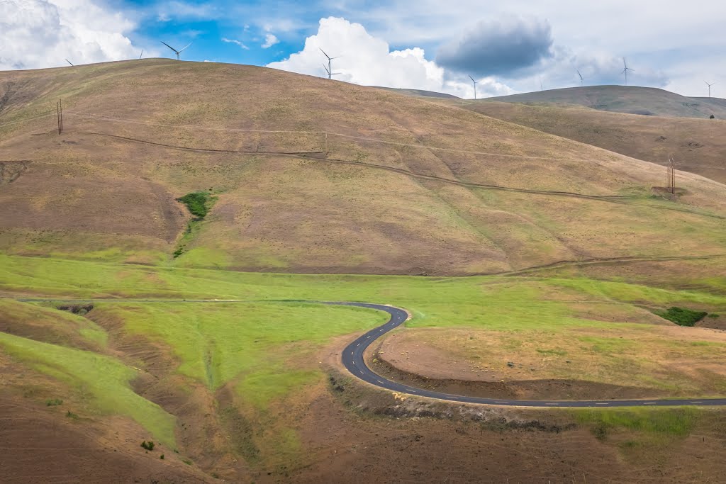 View of Maryhill Loops Road by Gary Burd