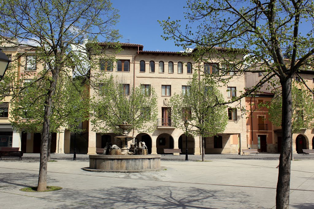 ESTELLA-LIZARRA (NAVARRA) CASAS Y FUENTE, EN LA PLAZA DE SANTIAGO by JOSE LUIS OROÑEZ