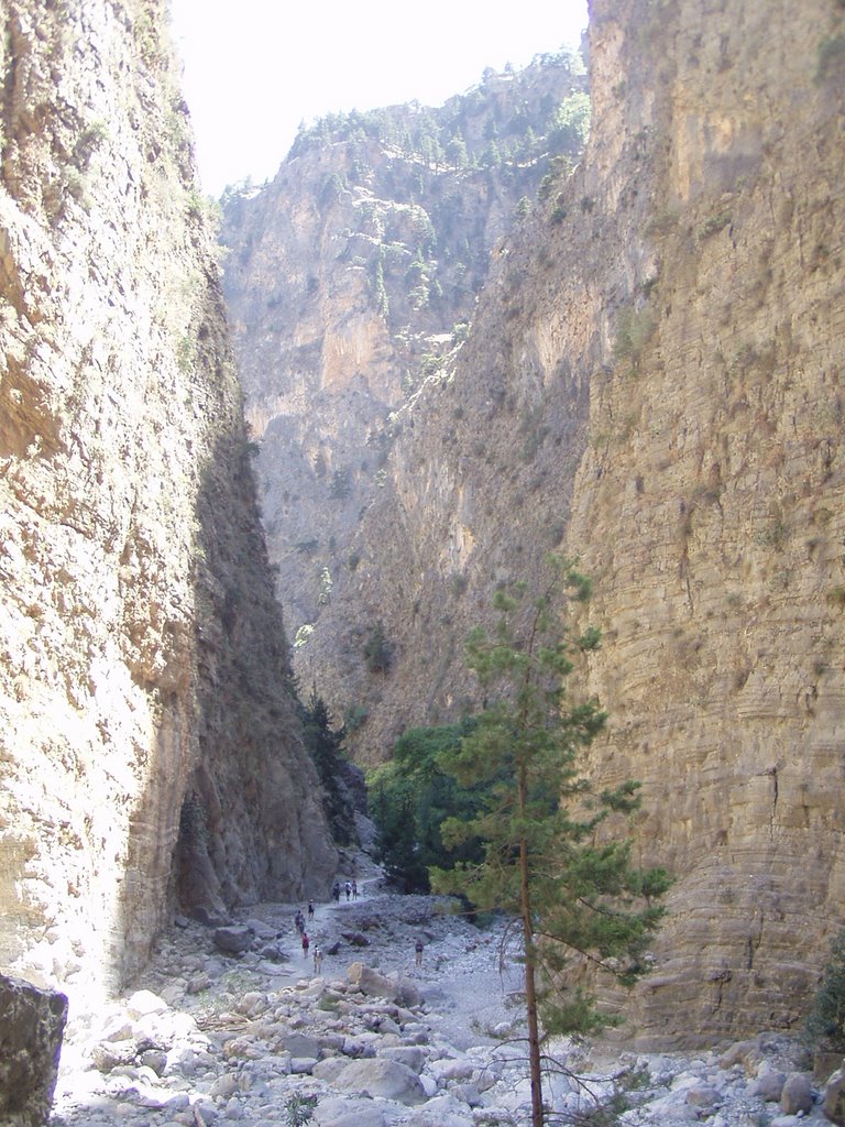 Crete - Central Samaria gorge by jimimk2