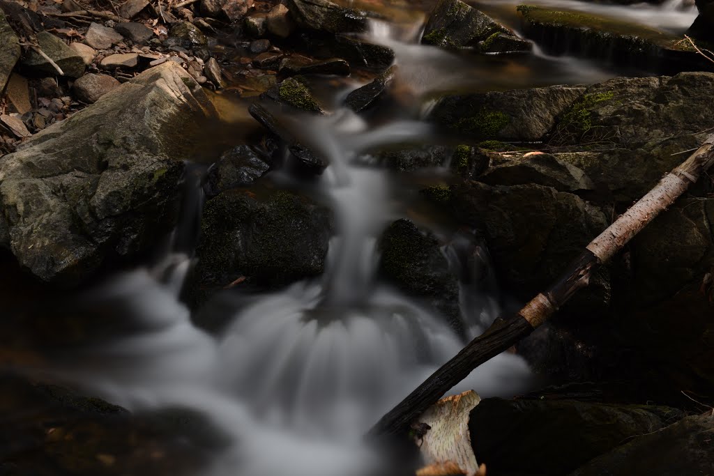 Elderkin (west Branch) fall II by Benoit Lalonde