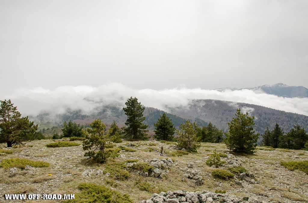 Dobro Pole, Municipality of Novaci, Macedonia by WhereIs Macedonia