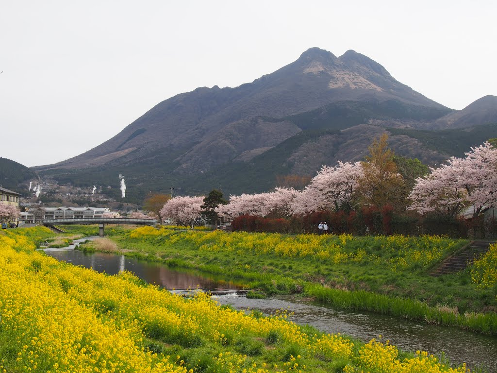 Yufuincho Kawakami, Yufu, Oita Prefecture 879-5102, Japan by 小西天