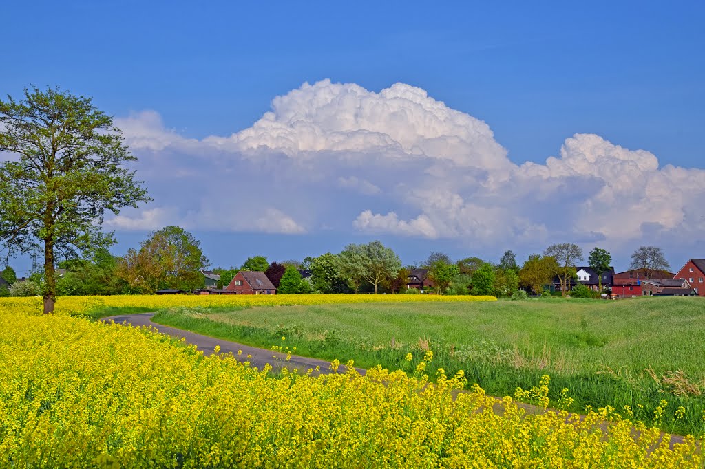 Am Landweg - Haselau by JulianeHerrmann1