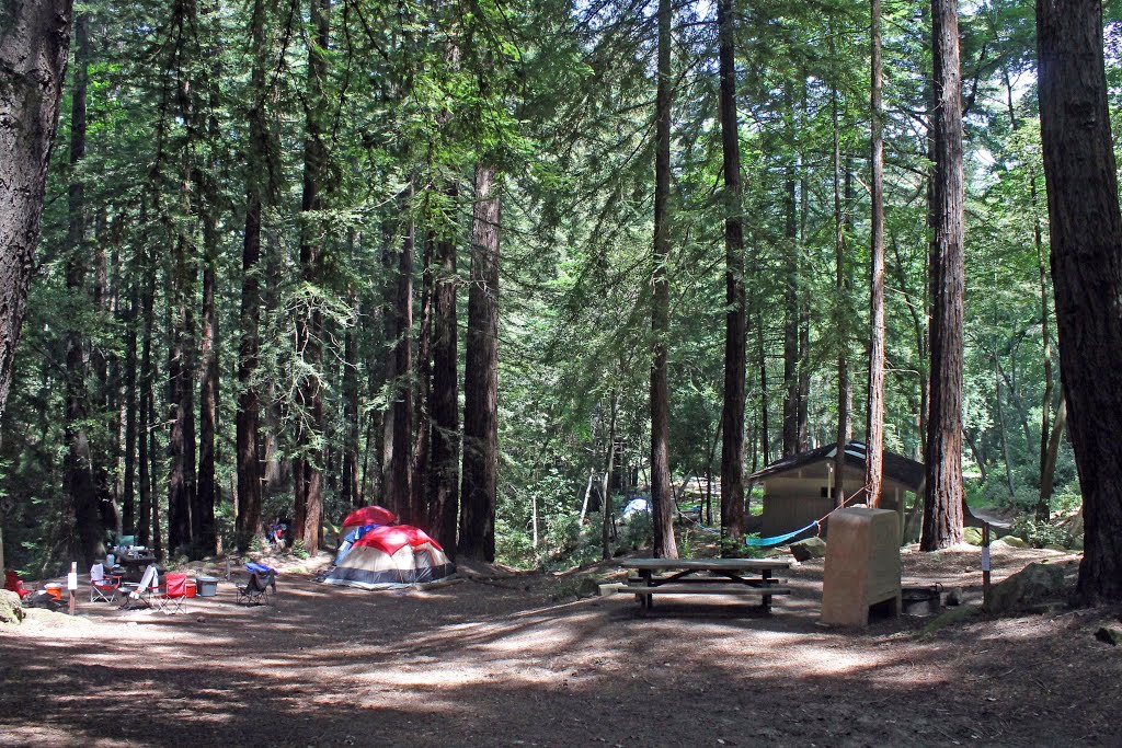 Sanborn County Park campsite by Edward Rooks