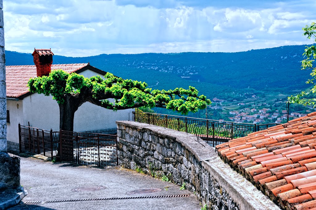 Podpeč, v ozadju Hrastovlje by Valter Erzetič New