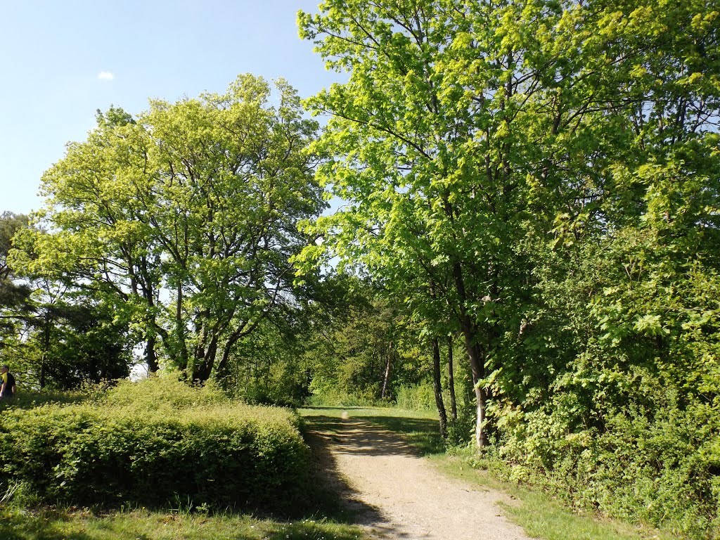 Leonberg, Park Engelberg by Kurdo Kolenko