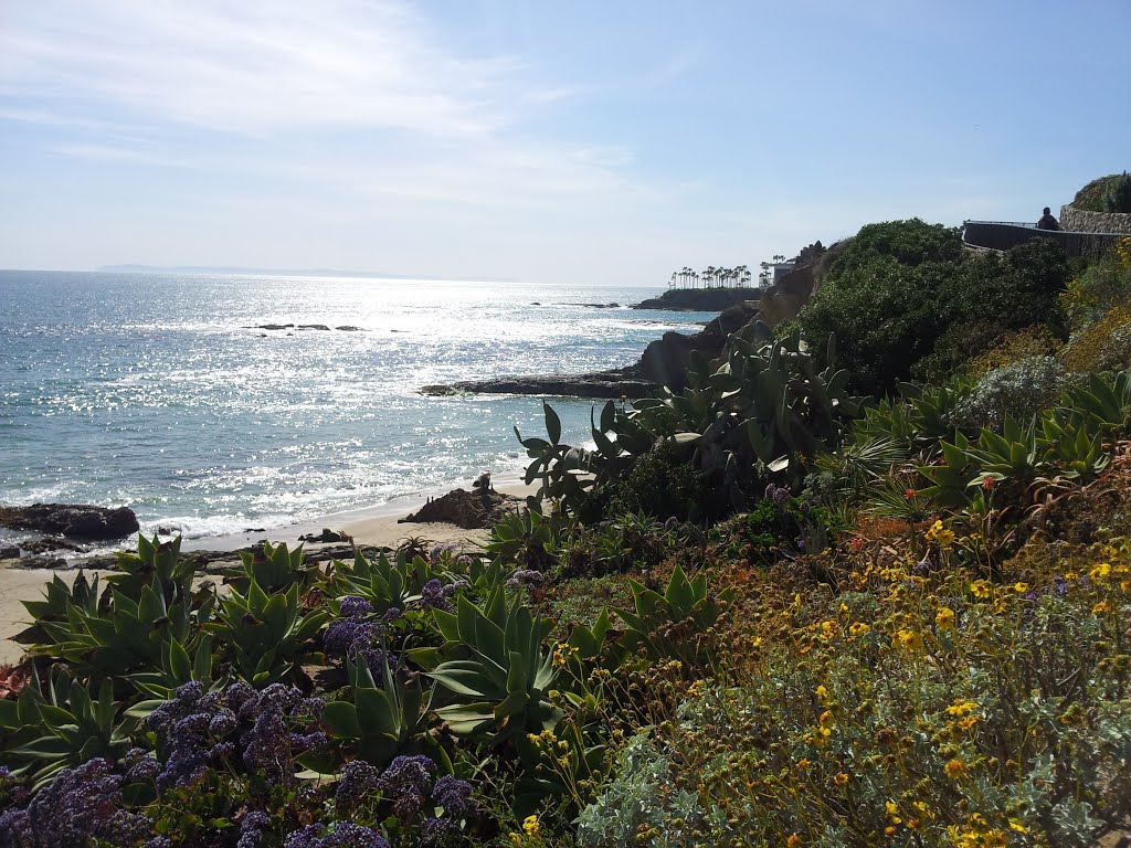 Laguna Beach, CA, USA by Sasmit Bhayde