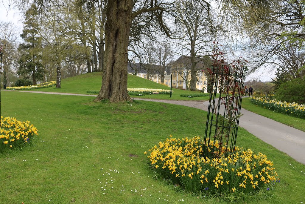 30. april 2016 Gavnø, Gavnø Slotspark by Leif Rostgaard Niels…