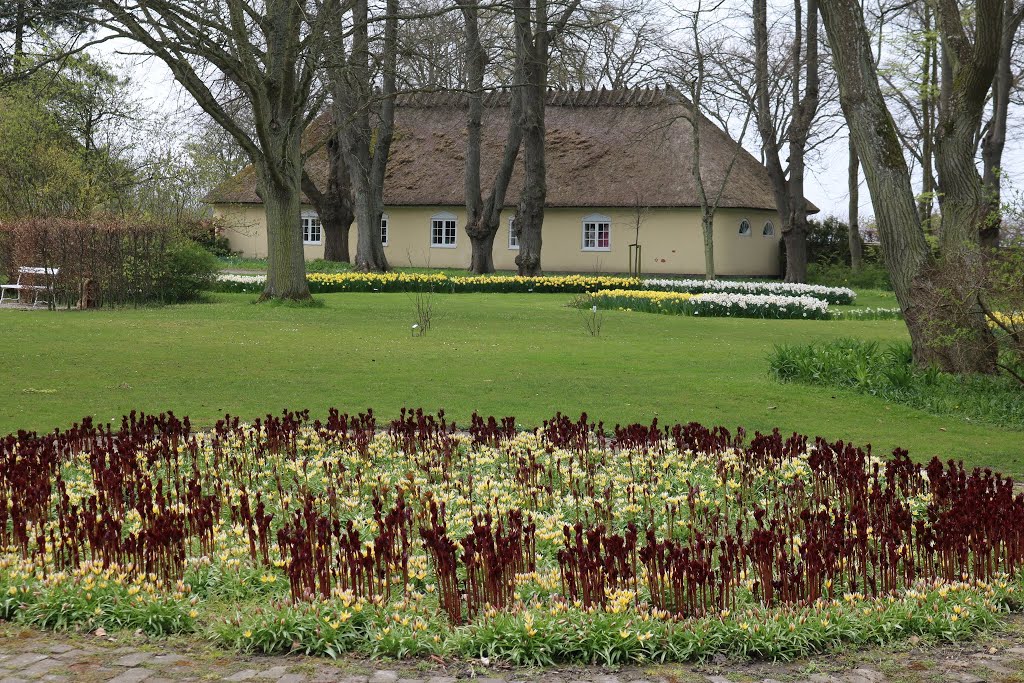 30. april 2016 Gavnø, Gavnø Slotspark by Leif Rostgaard Niels…