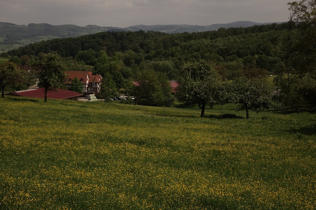 64668 Rimbach, Germany by Martin Stolle