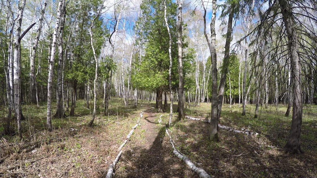 DWP Trail near Spirit Mountain by wuloonu