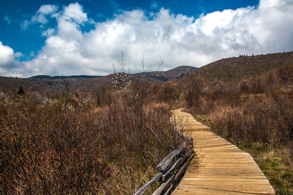 Further on the Trail by E.Chappell