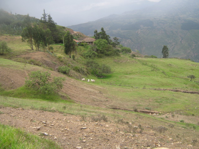 Finca el volcan by Luis Barajas 27