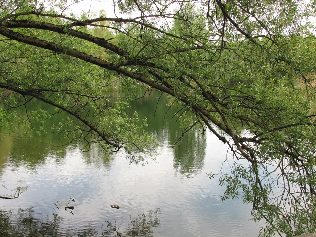 Germany (Deutschland), München, Zamilapark, SzG3 by Szalay Gábor IV