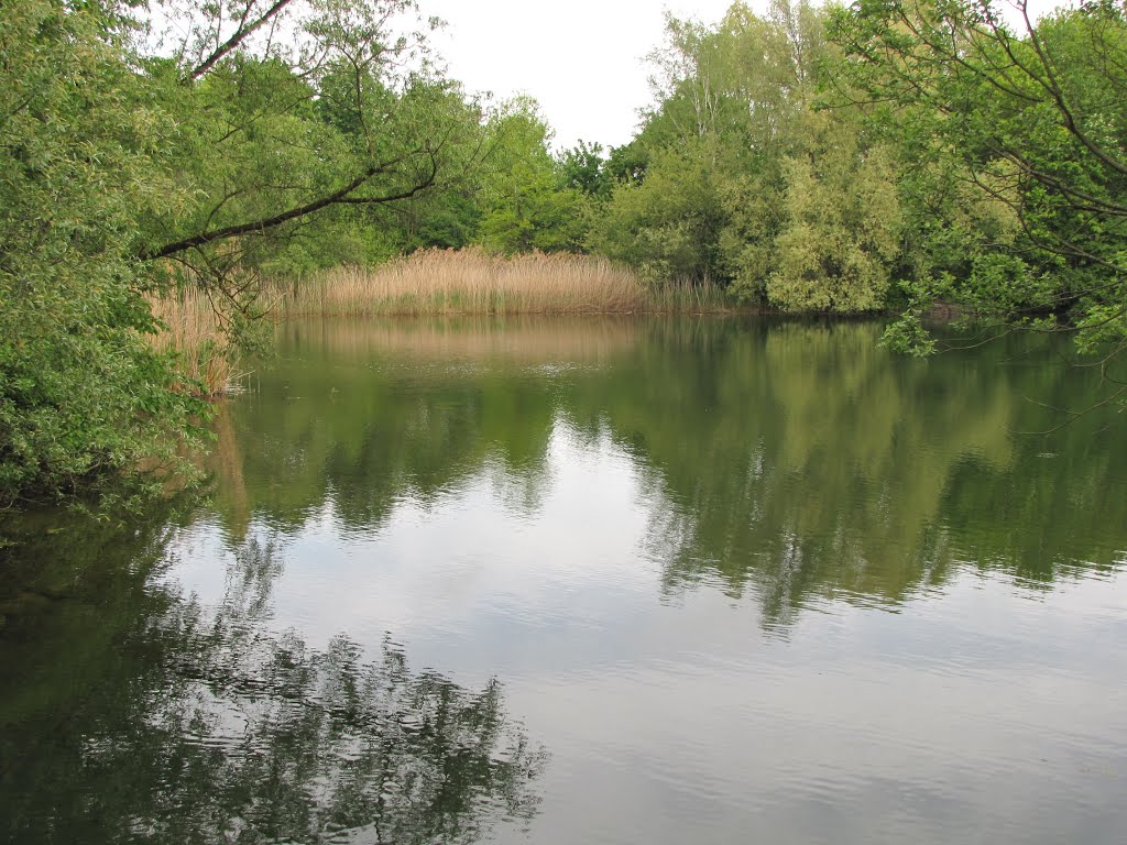 Germany (Deutschland), München, Zamilapark, SzG3 by Szalay Gábor IV