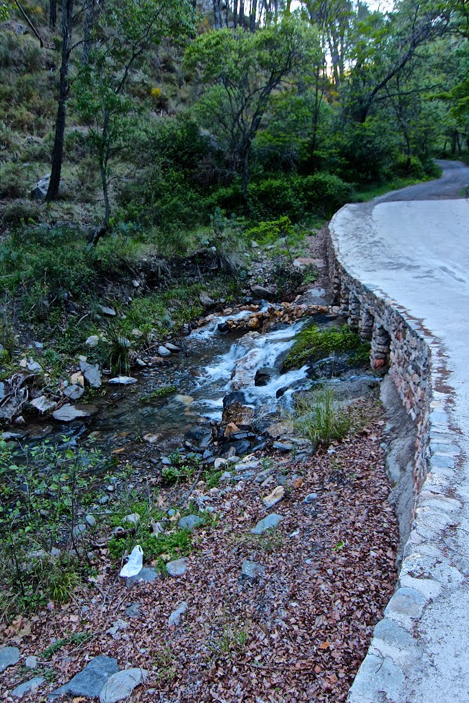 SENDA DE LA HIDROELÉCTRICA (PR-A 36) - Almería by José Angel De la pec…