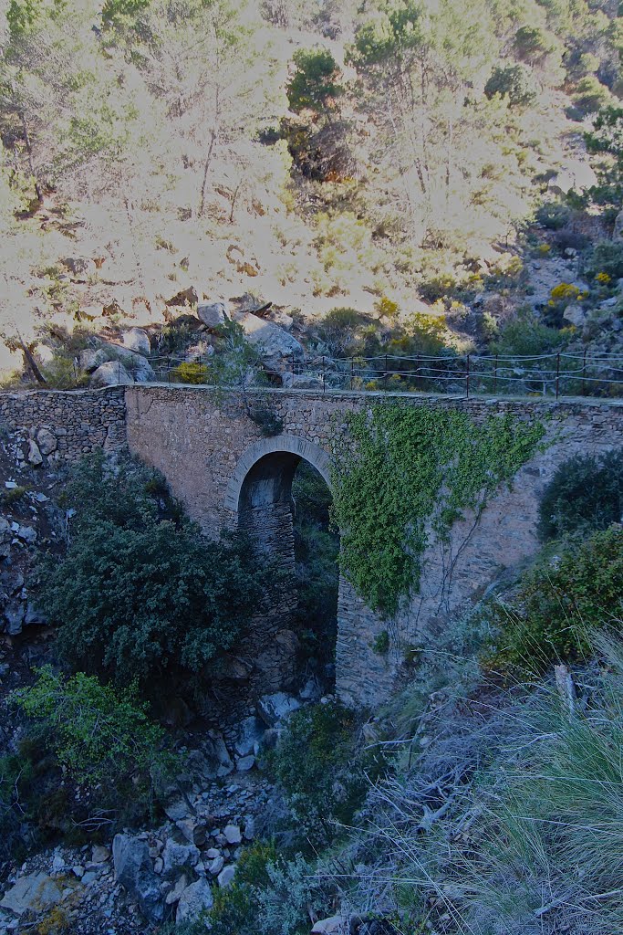 SENDA DE LA HIDROELÉCTRICA (PR-A 36) - Almería by José Angel De la pec…