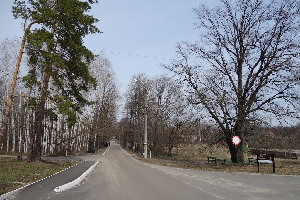 Tolshevskiy, Voronezhskaya oblast', Russia, 396100 by Sergey Rusanov