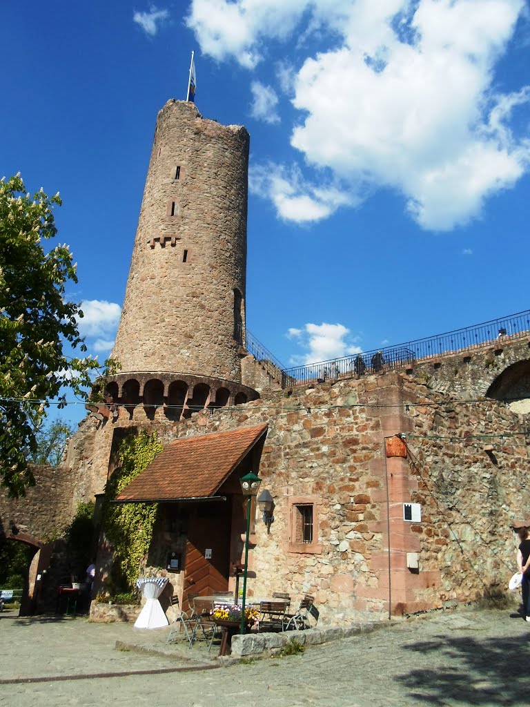 Castle Ruin Windeck, Weinheim by DK G