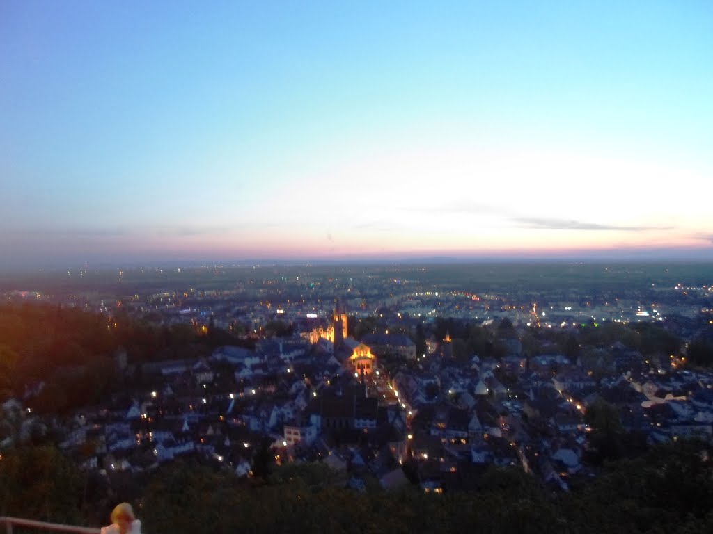 View towards Weinheim by DK G